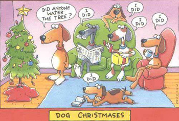 christmas funny myspace