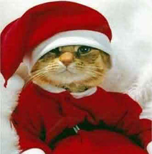 christmas funny myspace