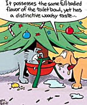 christmas funny myspace