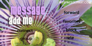 myspace contact table