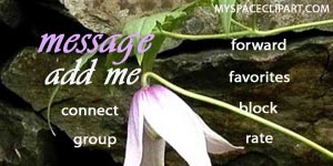 myspace contact table
