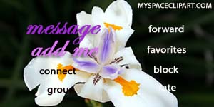 myspace contact table
