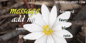 myspace contact table