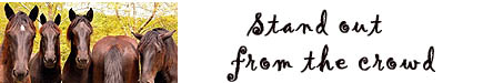 myspace banner