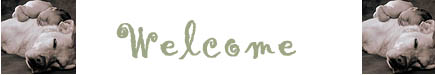 myspace banner