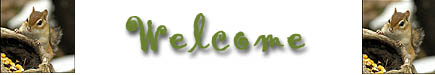 myspace banner