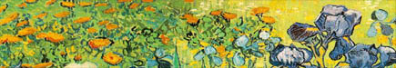 myspace banner