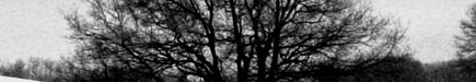 myspace banner