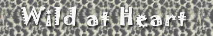 myspace banner