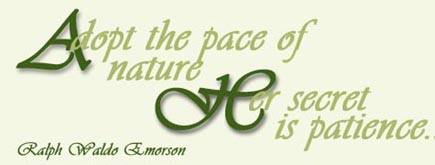 myspace banner